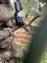 Carica l'immagine nel visualizzatore di Gallery, Olio evo, bottiglia vetro da 0,25 lt