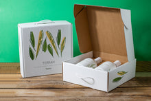 Load image into Gallery viewer, EVO Oil Gift Box 2 Glass Bottles 0,50 lt