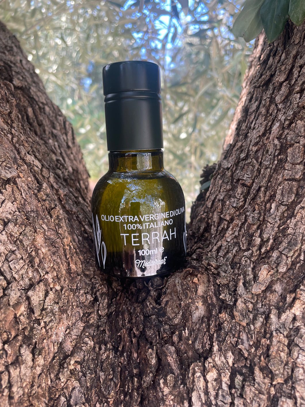 Olio EVO bottiglia vetro 0,1 lt